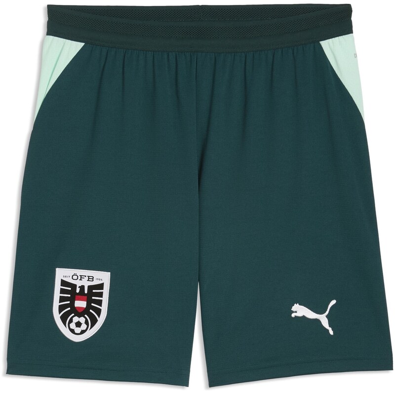 Kraťasy Puma Green 9834377