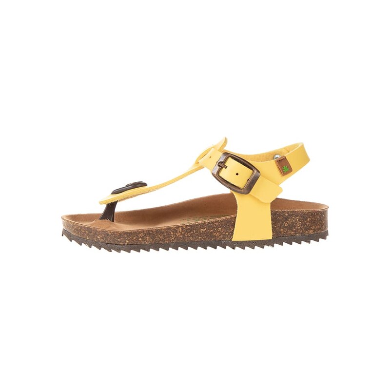 El Naturalista Gelb 6706438