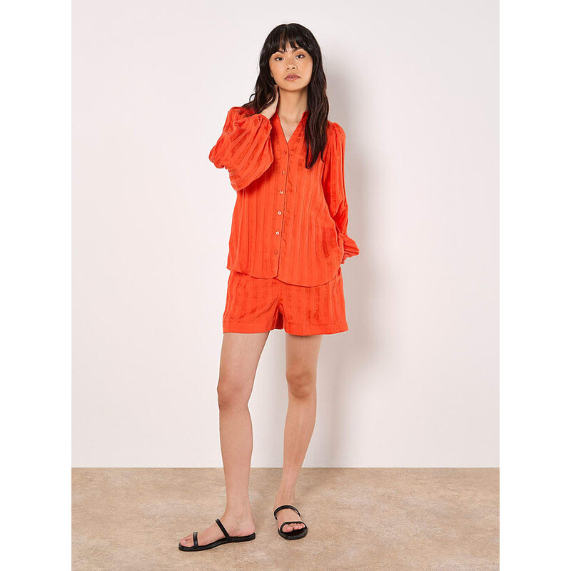 Apricot Orange 2286317 115279691