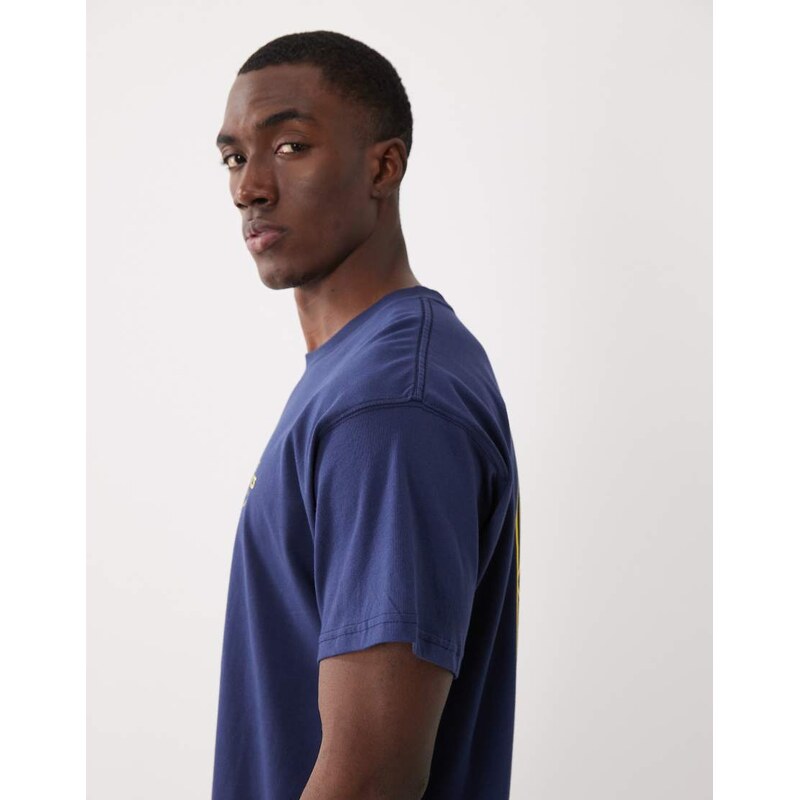 Nike palm tree back print logo oversized t-shirt in navy