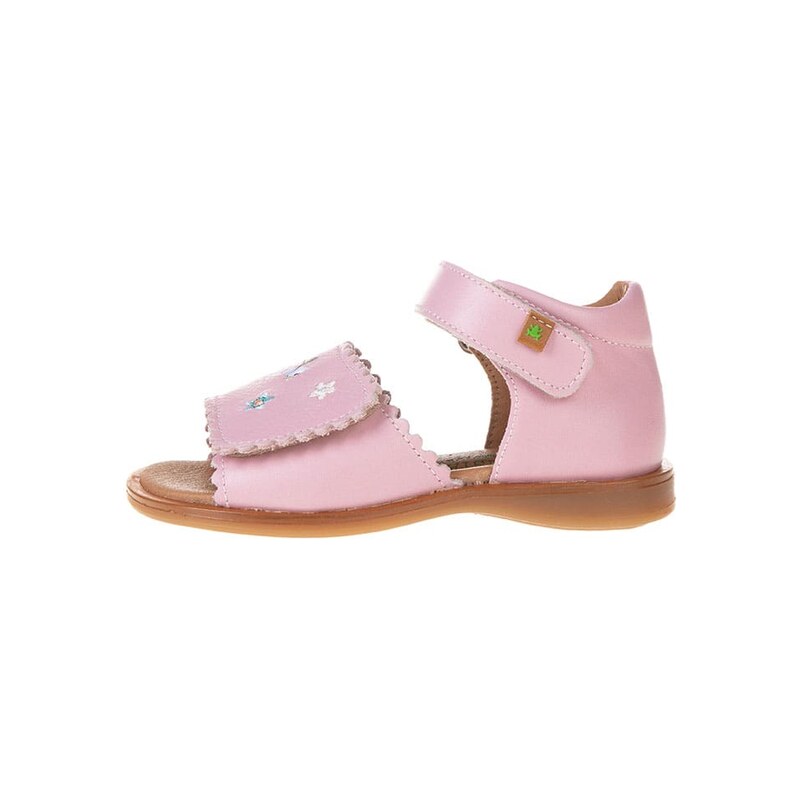 El Naturalista Rosa 2927336