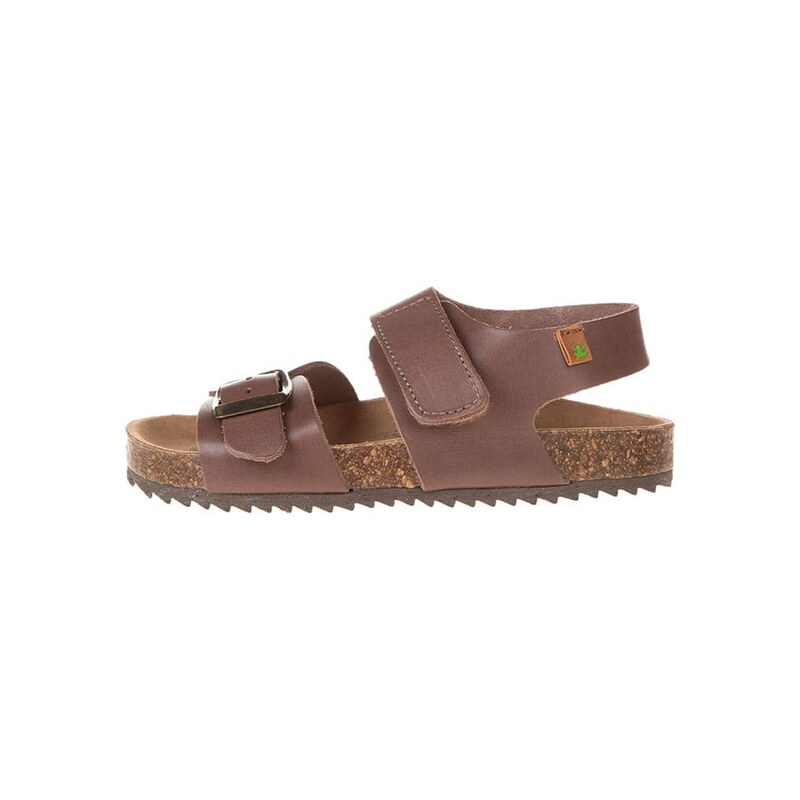 El Naturalista Braun 7148133