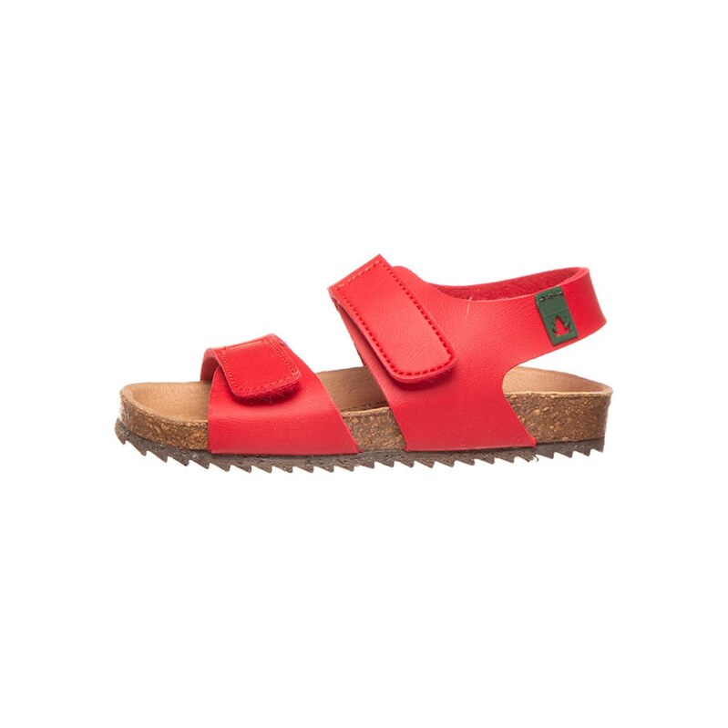 El Naturalista Rot 2803792