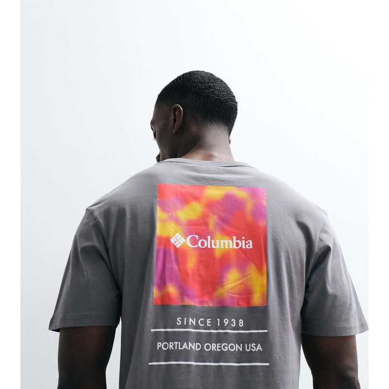 Columbia Barton Springs III graphic t-shirt in city grey