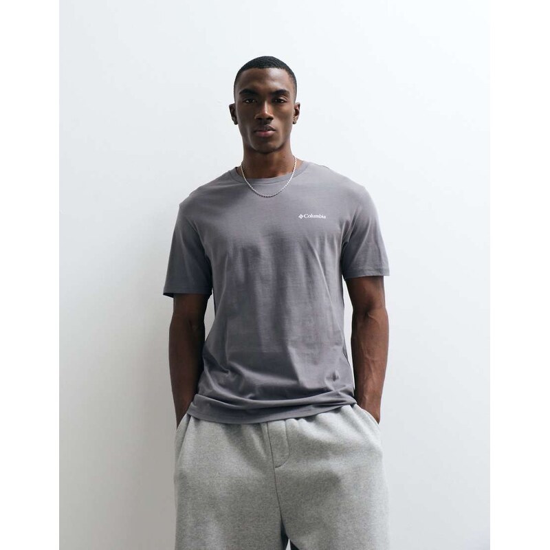 Columbia Barton Springs III graphic t-shirt in city grey
