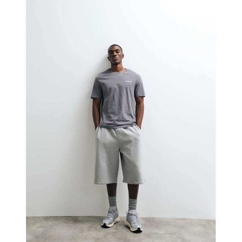 Columbia Barton Springs III graphic t-shirt in city grey