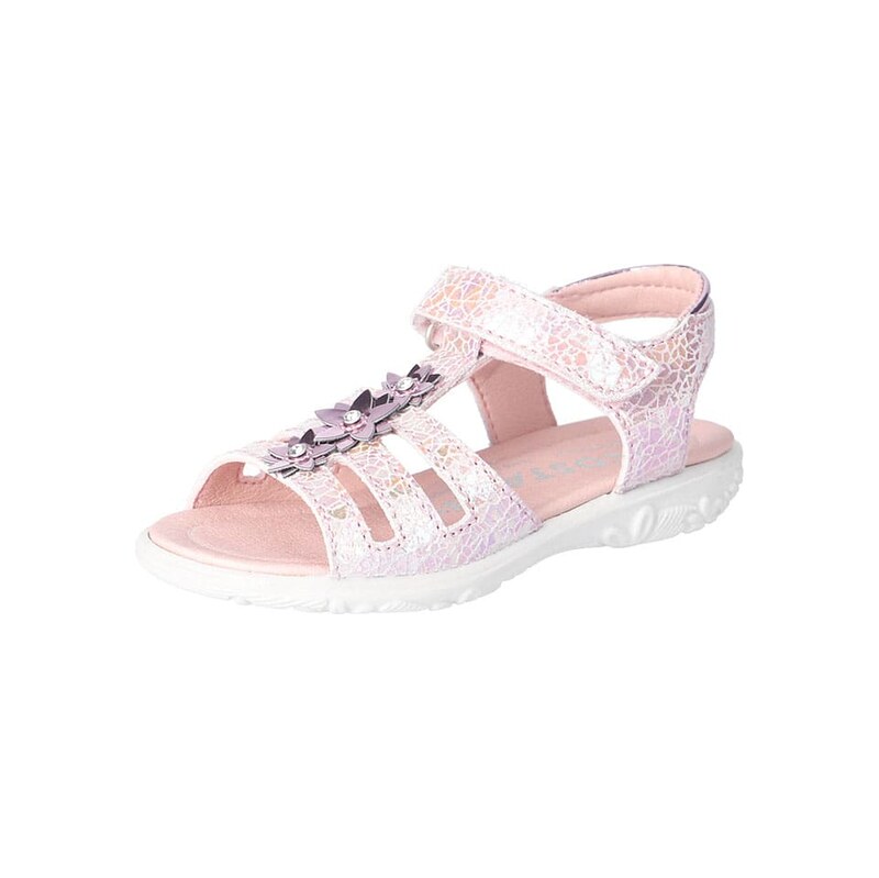 Ricosta Rosa 2376205