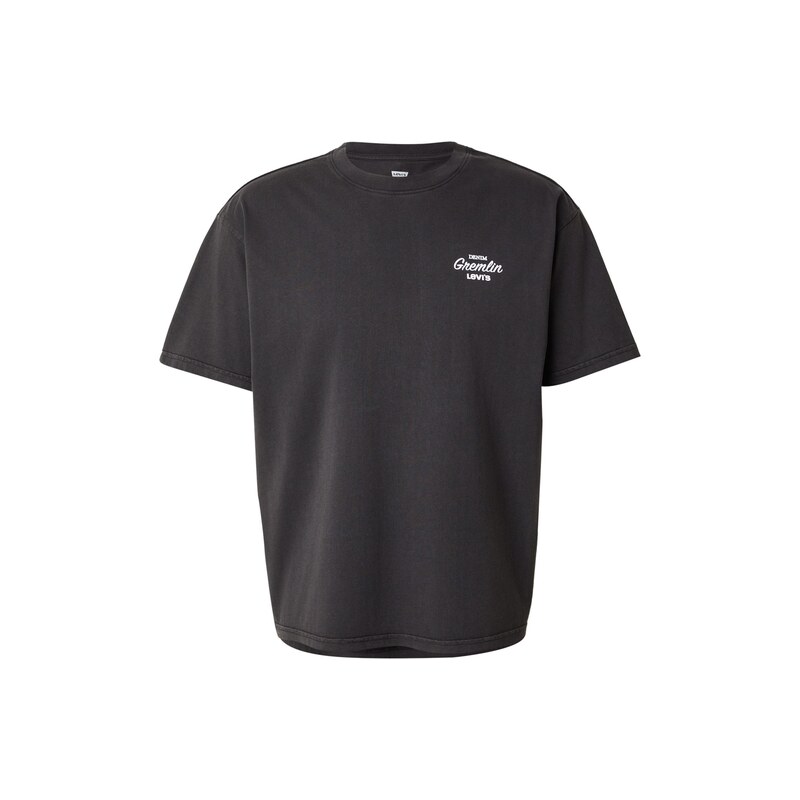 LEVI'S  Tričko 'Graphic Boxy Tee' světlemodrá / světle zelená / černá / bílá