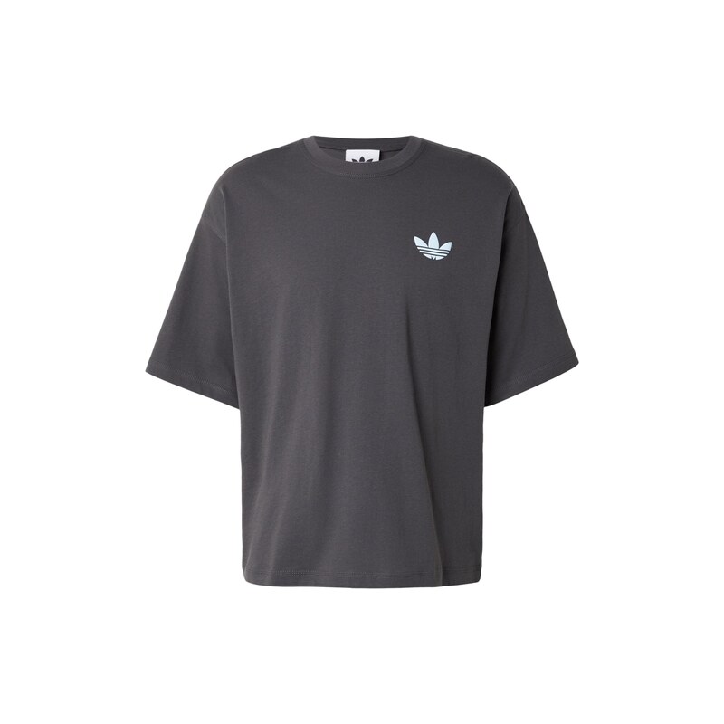 ADIDAS ORIGINALS Tričko 'Mountain' světlemodrá / šedá / světle šedá / černá