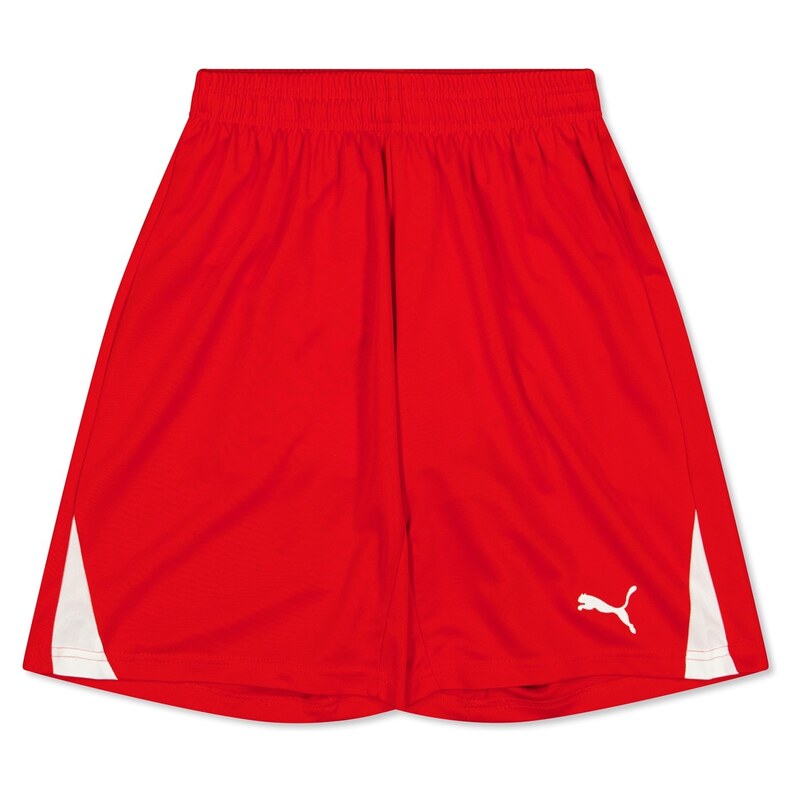 Kraťasy Puma Red 6889627