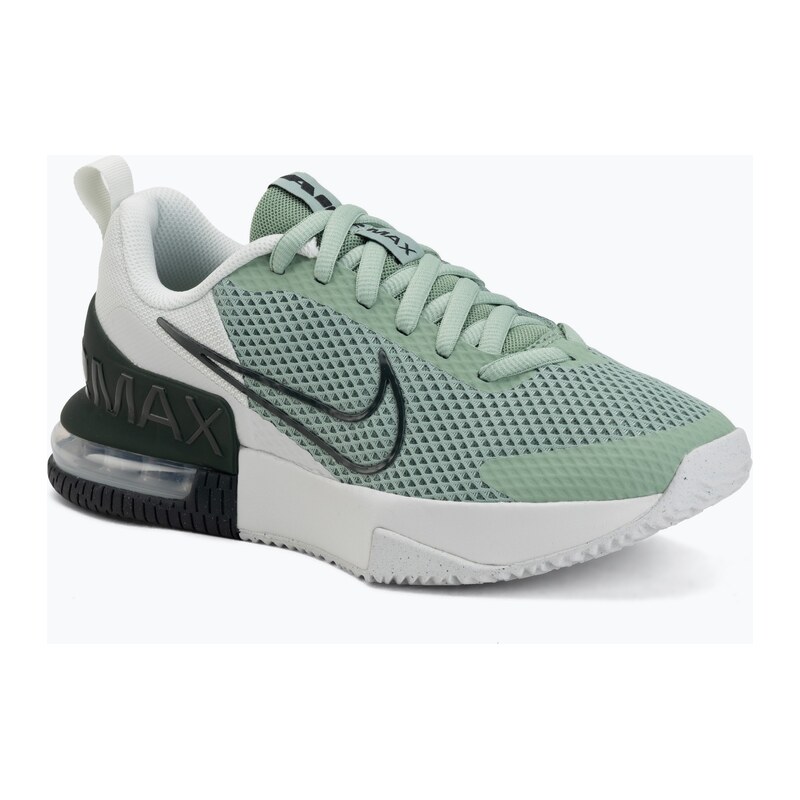Pánské tréninkové boty Nike Air Max Alpha Trainer 6 phantom