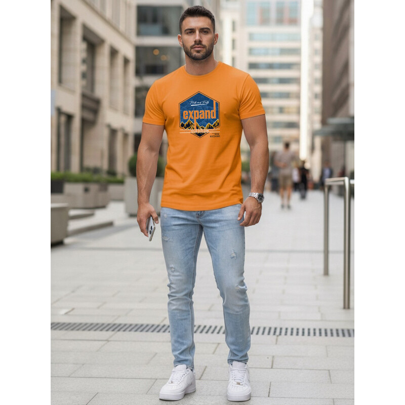 Koszulka męska z nadrukiem model 22170687 - FashionStreet