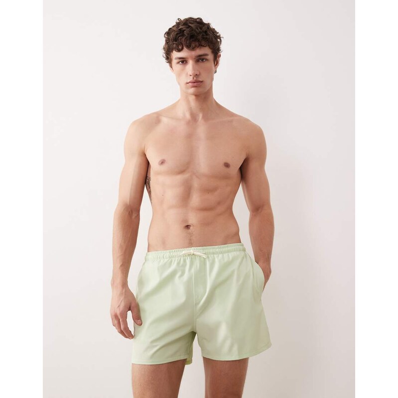 Free Society swimshort in sage green
