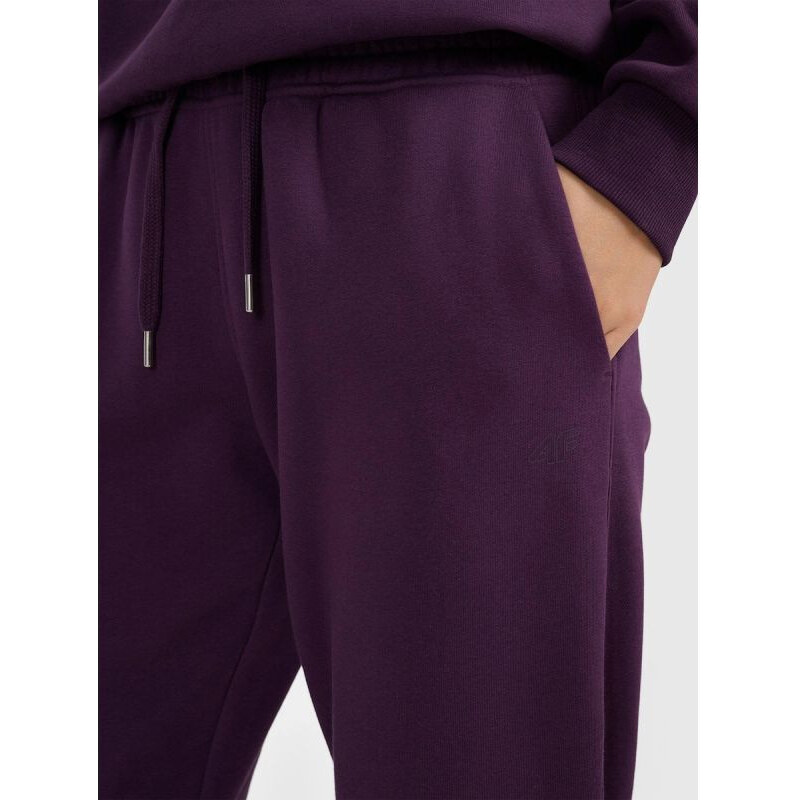 Dámské tepláky joggers model 22171655 dámské - 4F