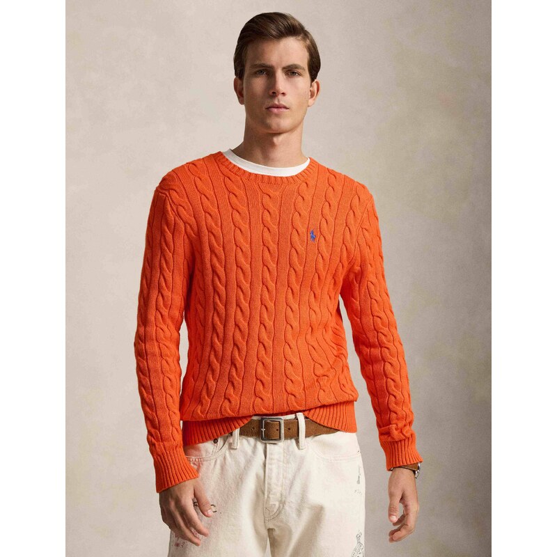 POLO RALPH LAUREN Svetr | regular fit