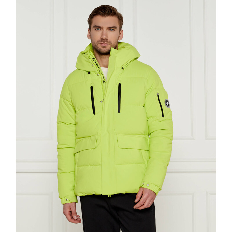 Save The Duck Bunda ALTER | Regular Fit