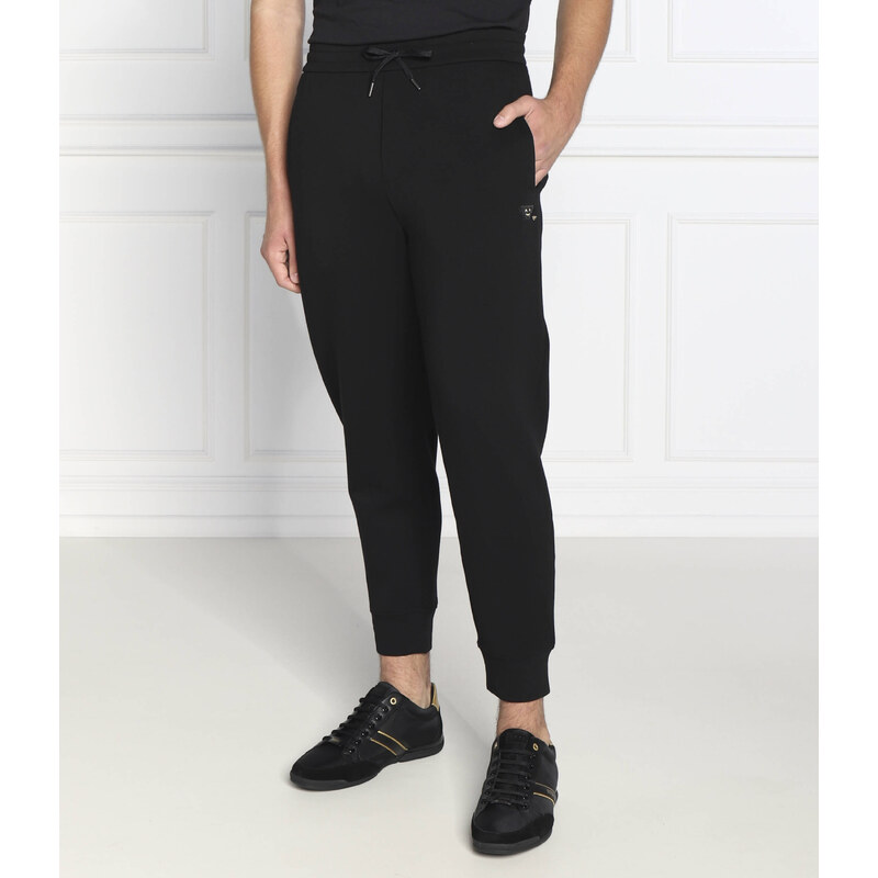 Emporio Armani Tepláky | Regular Fit