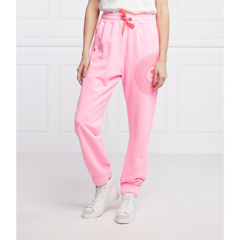 Pinko Tepláky CACAO | Regular Fit | regular waist 66417966