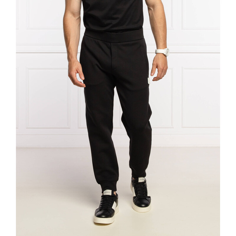 Emporio Armani Tepláky | Regular Fit