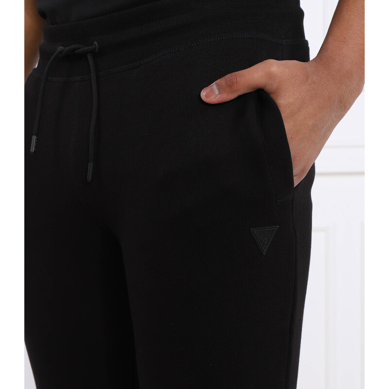 GUESS ACTIVE Tepláky ALDWIN | Regular Fit
