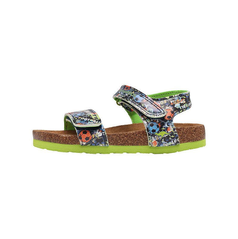 Kangaroos Bunt 6490677