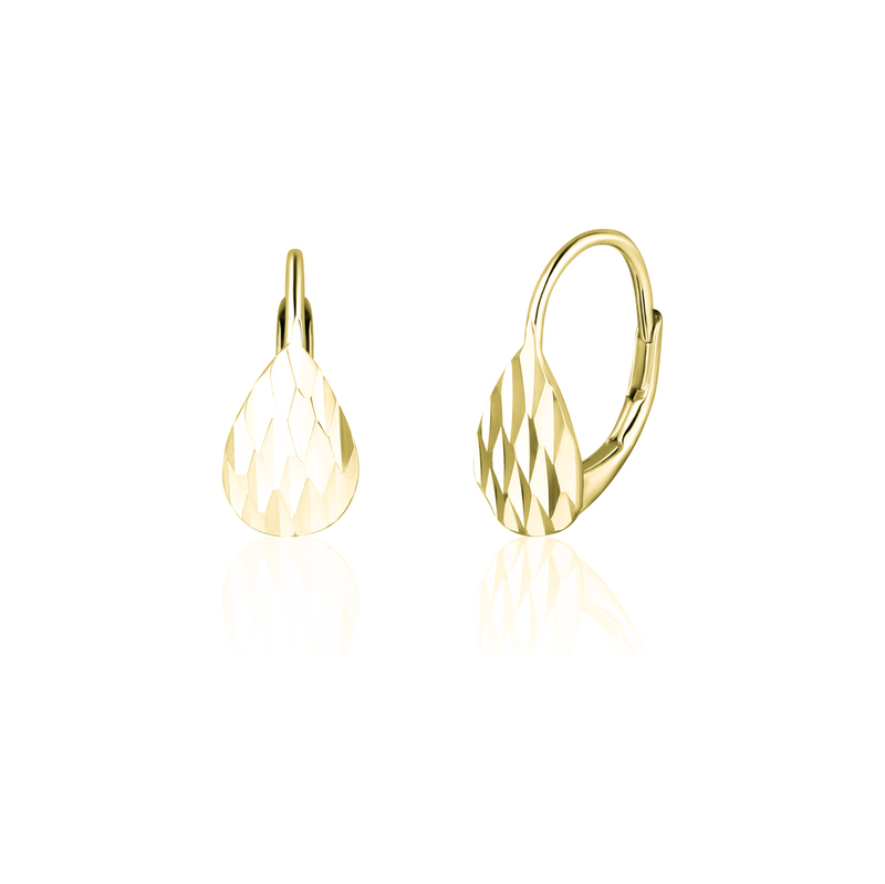 JVD Náušnice SVLE2186XJ60GO0 115684652