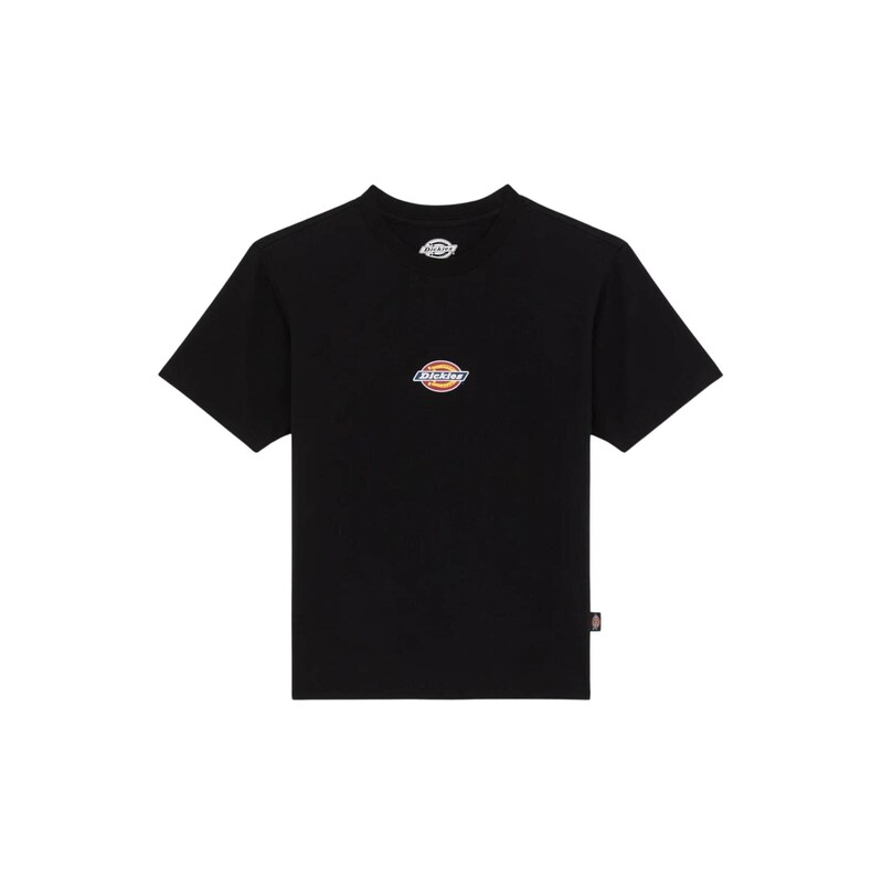 DICKIES Tričko Maple Valley černá 115687249