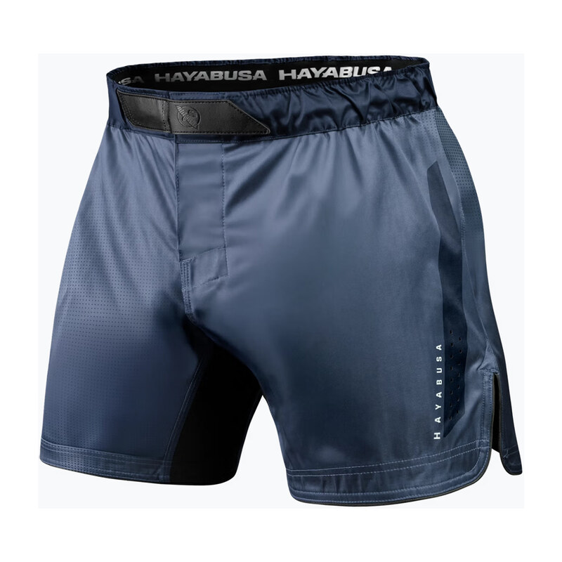 Pánské tréninkové šortky Hayabusa Core Fight black