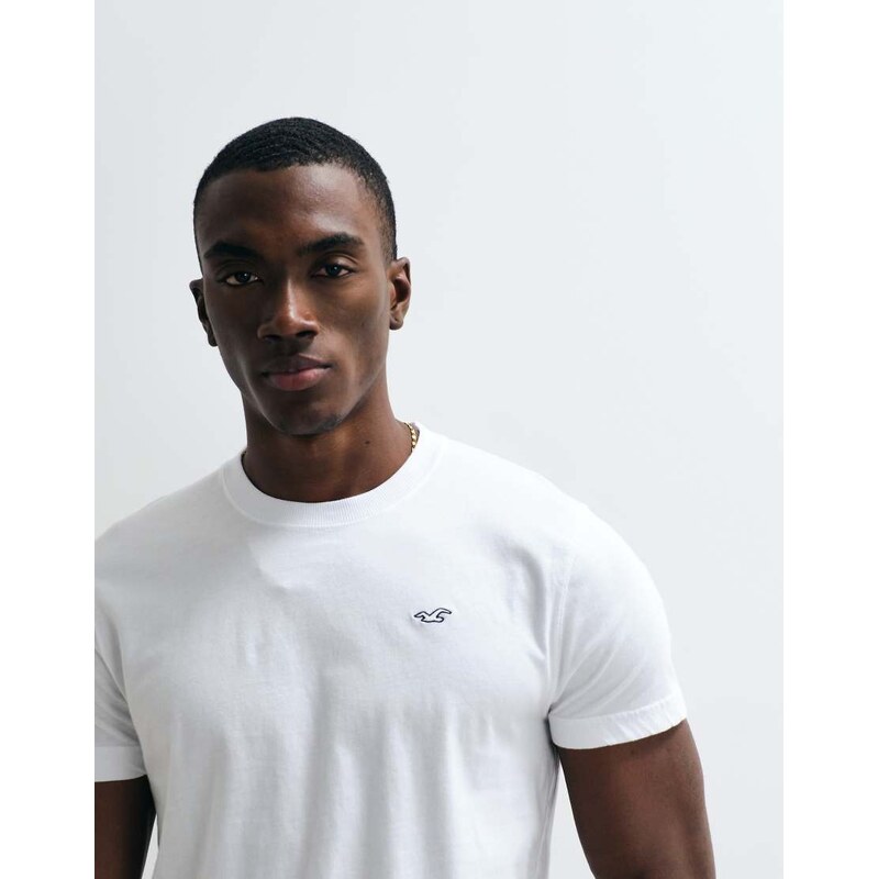 Hollister slim fit icon logo crew neck t-shirt in white