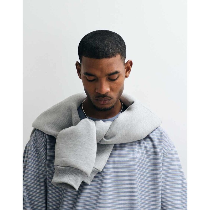 Carhartt WIP dupree stripe t-shirt in blue