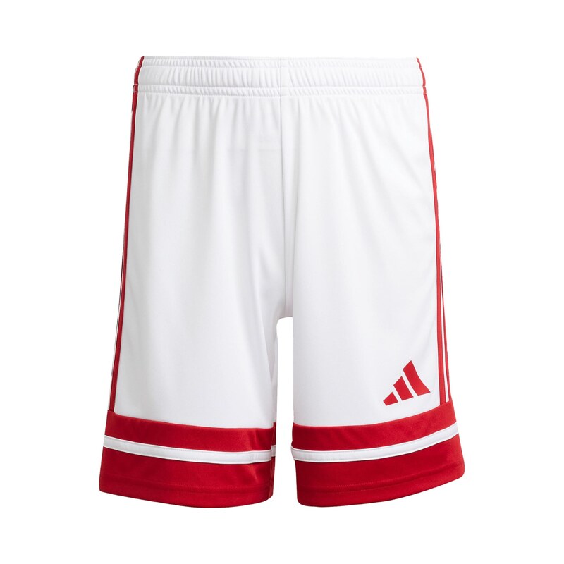 ADIDAS PERFORMANCE Sportovní kalhoty Squadra 25 červená / bílá