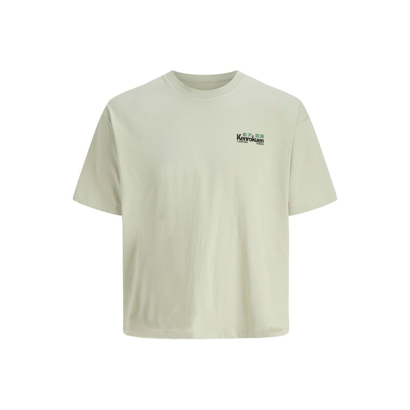 JACK & JONES Tričko JORKen zelená / pastelově zelená / černá /