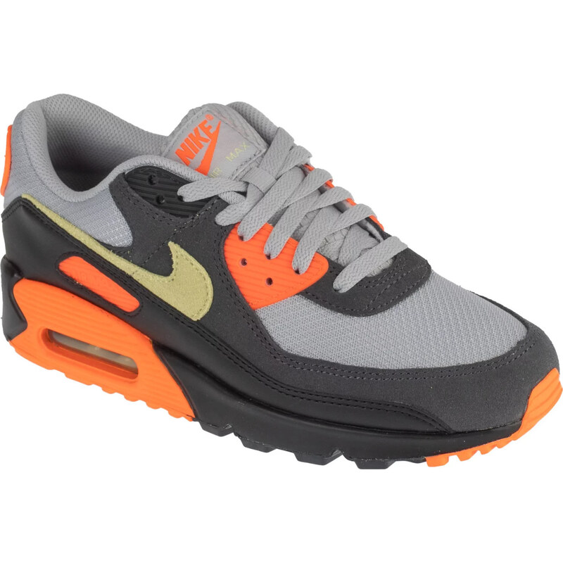 Pánské tenisky Nike Air Max 90 Šedá