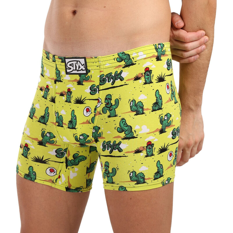 Pánské boxerky Styx long art klasická guma kaktusy (FN1351)
