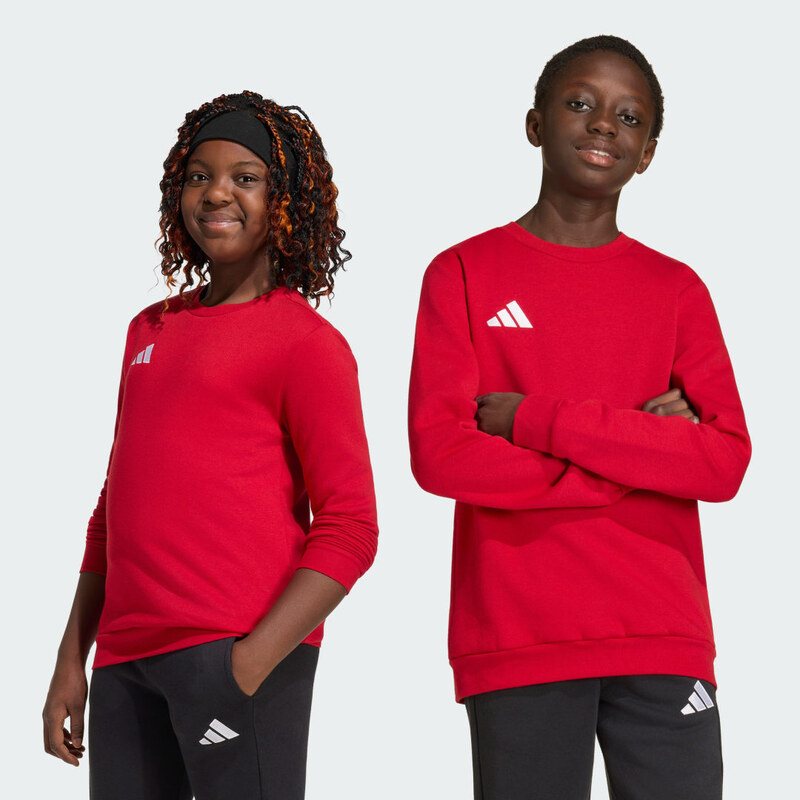 Adidas Dětská mikina Entrada26
