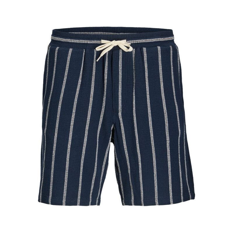 Jack&Jones pánské pruhované šortky JPSTJAIDEN COBA STRIPE JOG