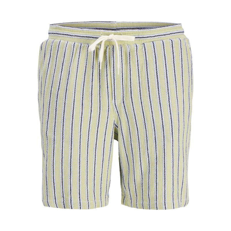 Jack&Jones pánské pruhované šortky JPSTJAIDEN COBA STRIPE JOG