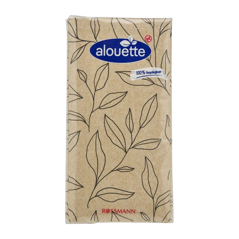 alouette Ubrousky Větvičky 33 x 33 cm 16 ks