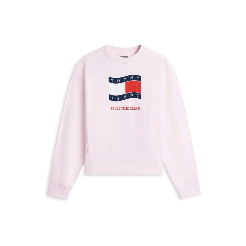 Tommy Jeans Mikina námořnická modř / červená / černá / bílá