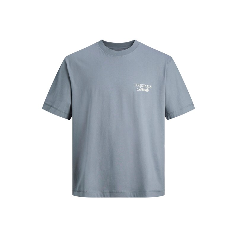 Jack & Jones Plus Tričko JORNORREBRO kouřově modrá / bílá