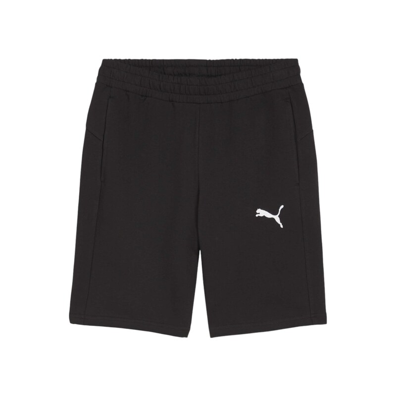 PUMA Sportovní kalhoty TeamGOAL černá / bílá