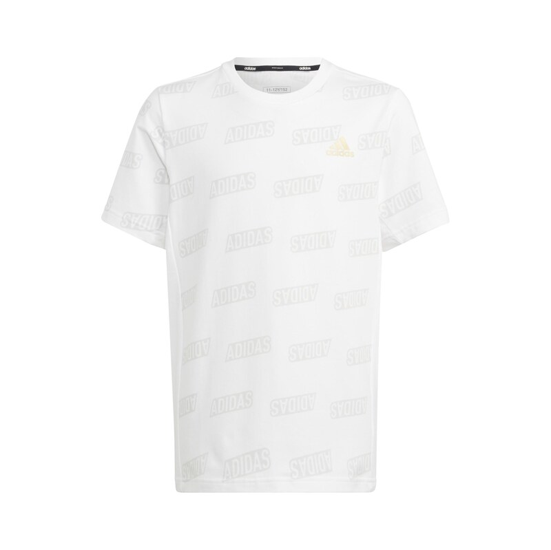 ADIDAS PERFORMANCE Funkční tričko šedá / bílá
