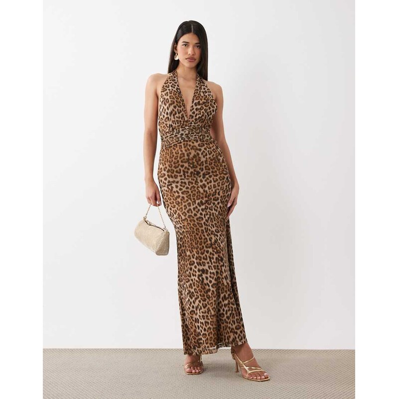 Bardot Elera mesh plunge halter neck maxi dress in leopard print