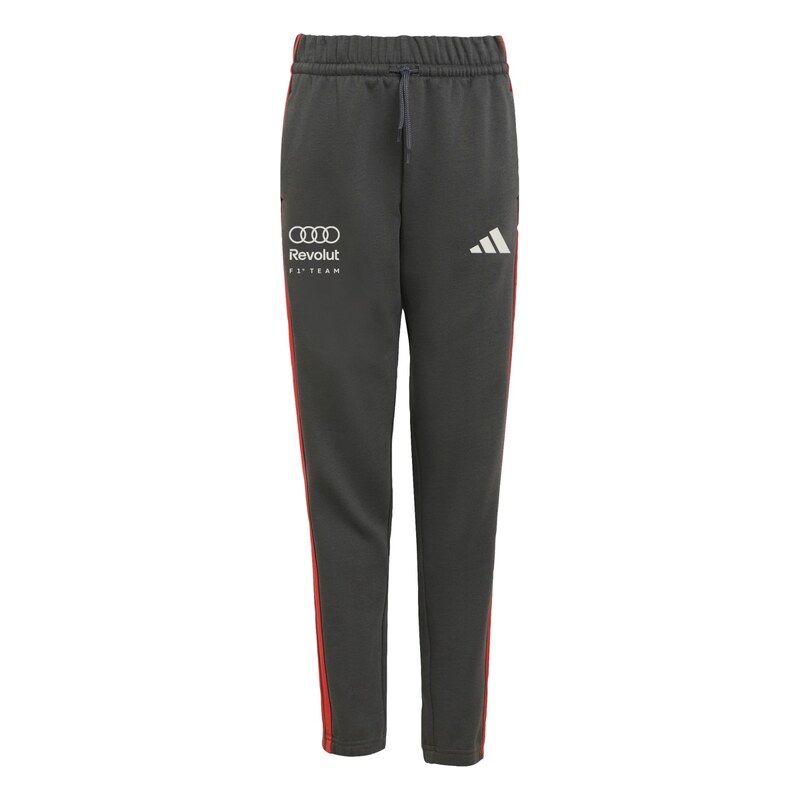 ADIDAS PERFORMANCE Sportovní kalhoty Audi Formula One Team Dna