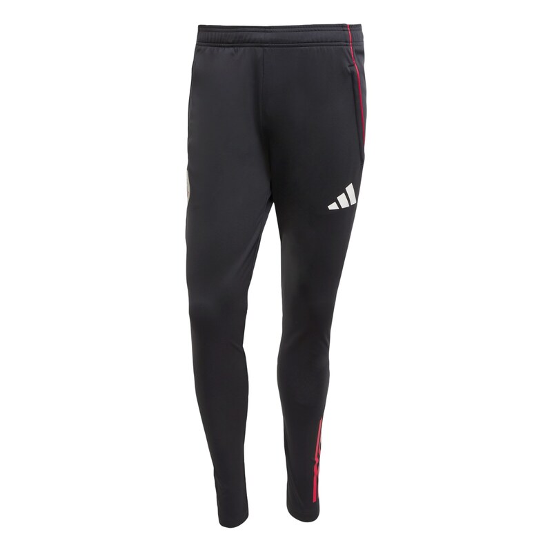 ADIDAS PERFORMANCE Sportovní kalhoty Ajax Tiro 25 Competition