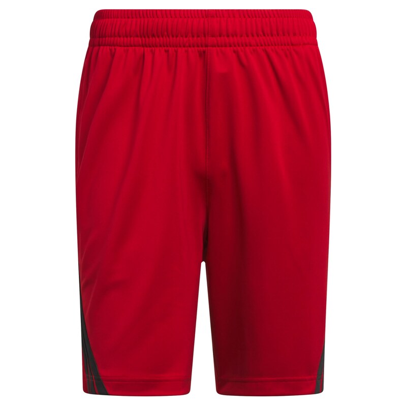 ADIDAS PERFORMANCE Sportovní kalhoty Legends červená / černá