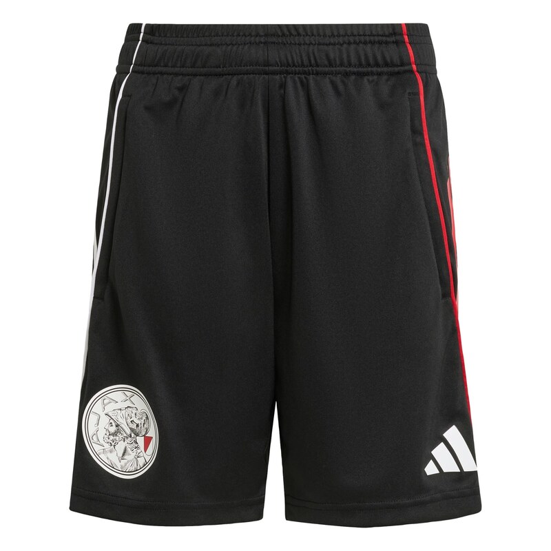 ADIDAS PERFORMANCE Sportovní kalhoty Ajax Tiro 25 Competition
