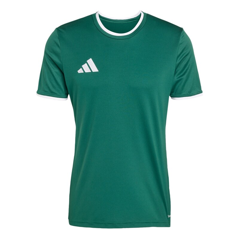 ADIDAS PERFORMANCE Funkční tričko Entrada26 rákos / bílá