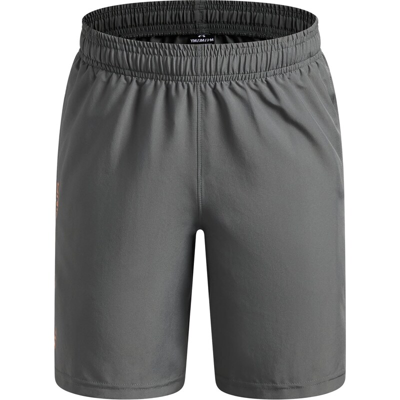 Kraťasy Under Armour Grey 6568509
