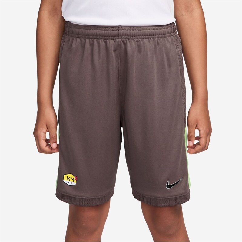 Kraťasy Nike Plum 584222